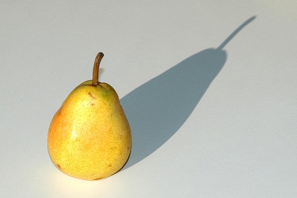 Pear and shadow