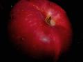 Juicy apple