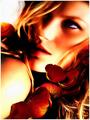 Dead Roses -- Magazine Lovers