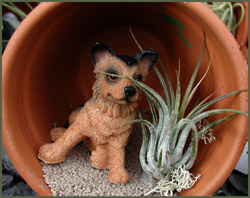 POTTED DOG