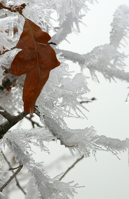 Changing Seasons