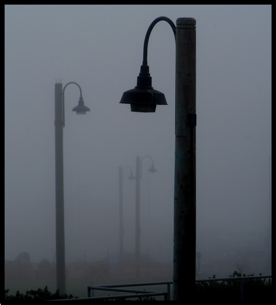 Lamp Posts in Fog