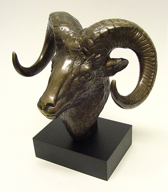 3/4 Scale Big Horn Sheep