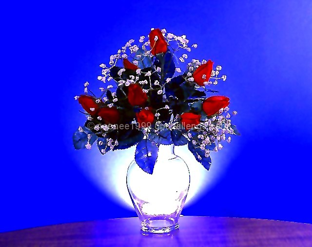 Red roses in blue