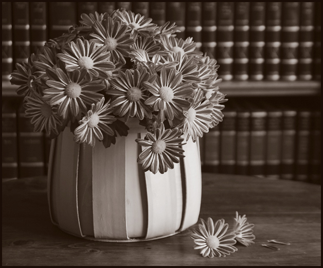 A Basket of Mums