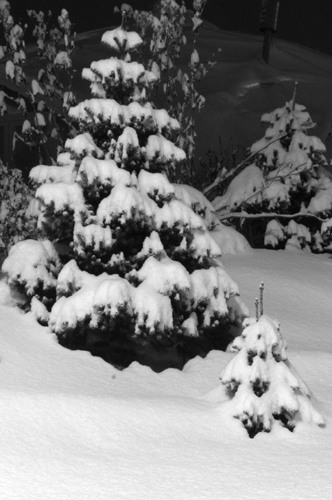 Together in the snow