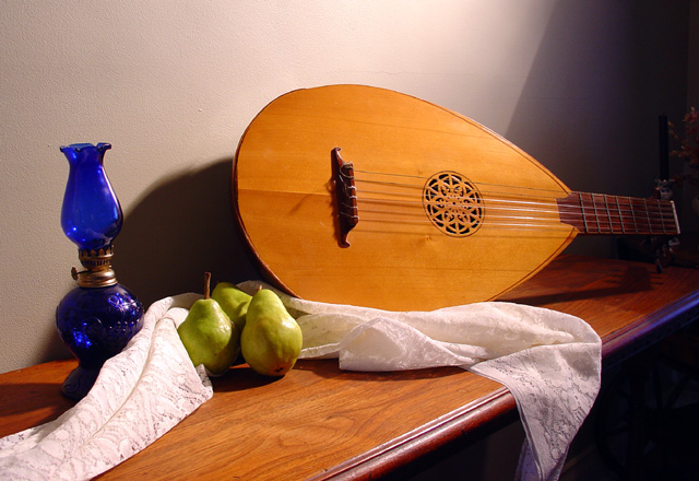 Still life with lute