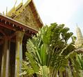 Emerald Buddha Temple