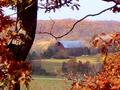 the simple red barn