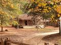 Little House in the Big Woods