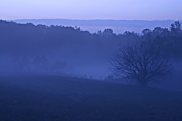 Blue Mist by Joan Severance