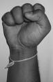 Anti skinhead movement.