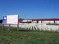 Red Ribbon Week at Celine High School