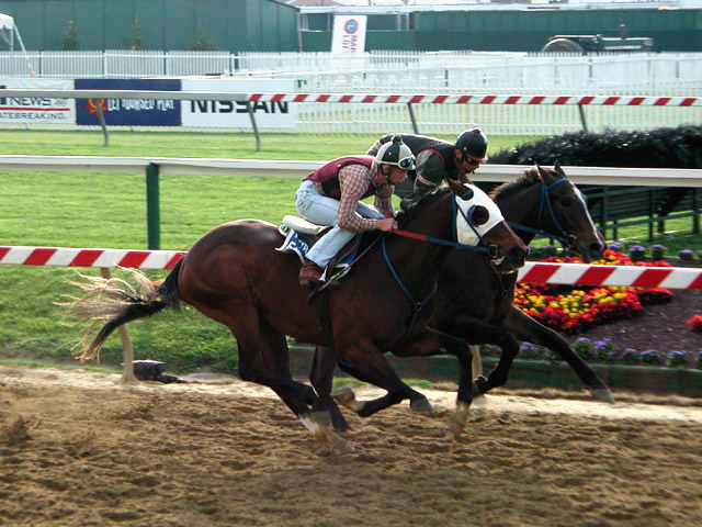 Pimlico