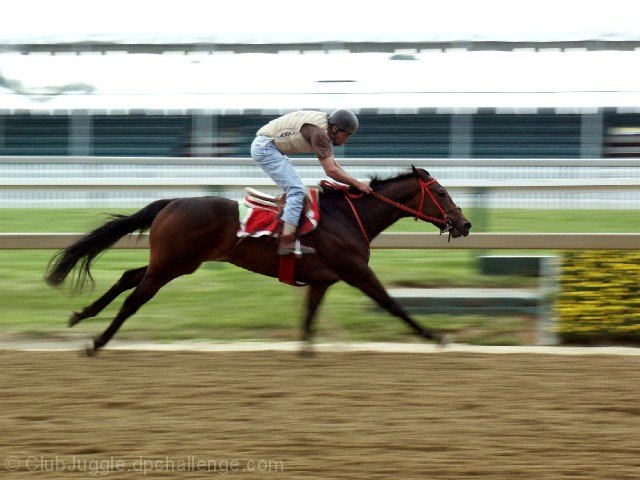 Preakness