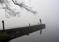 Double focus in the mist