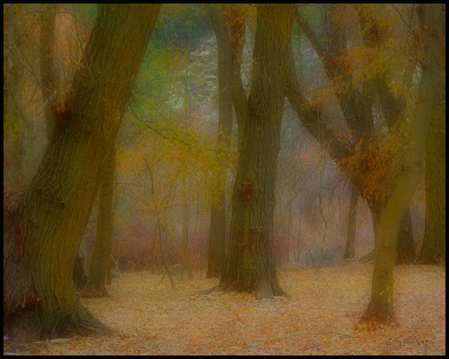 Waiting for the Elves