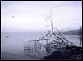 Winter on the Lake