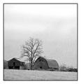 Barns and Ice