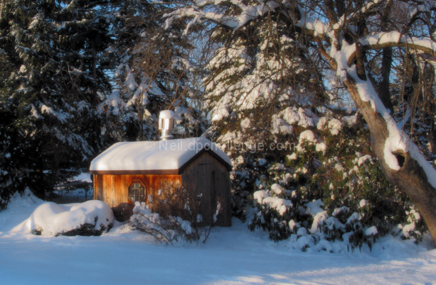 Soft Light on Grimms Cabin