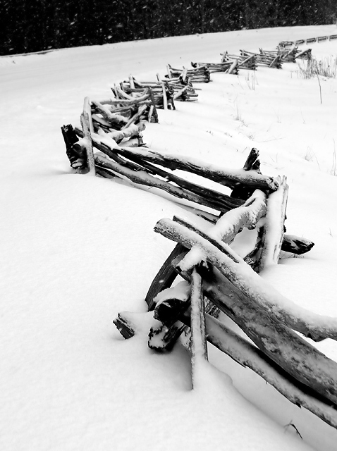 Winter Fence