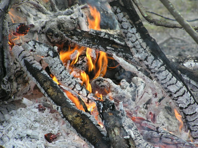 Christmas Bonfire