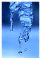 Winters Tear Drops