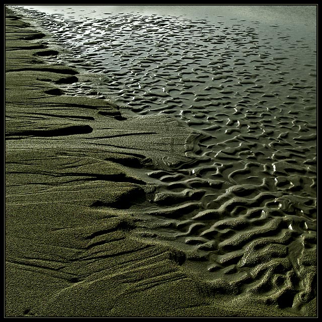 Seaside Arabesque