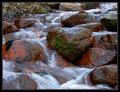 Flow