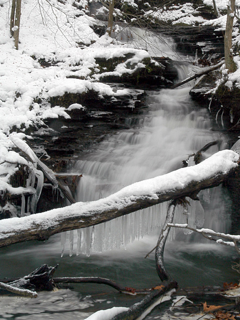 Snowy Flow