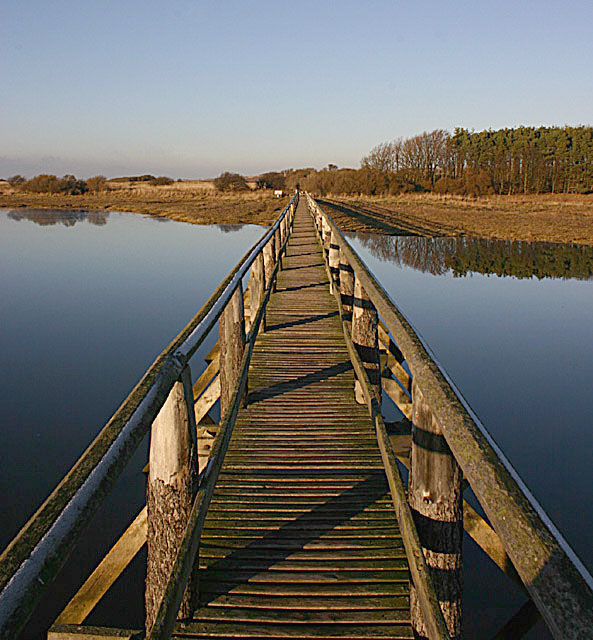 The Old Brown Bridge