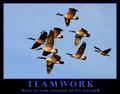 Teamwork