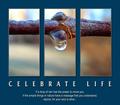 Celebrate life