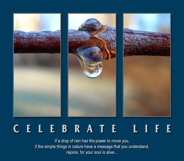 Celebrate life