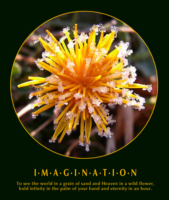 Imagine...