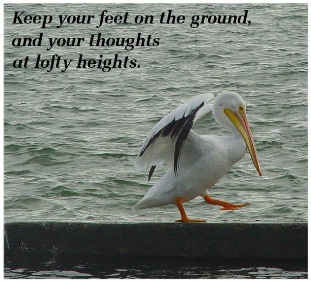 Keep your feet on the ground, and your thoughts at lofty heights.