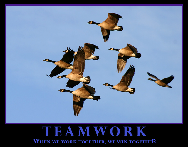 Teamwork by dan_pendleton - DPChallenge