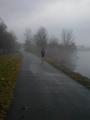 Into the fog