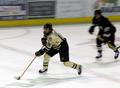 "Hockey in Motion"