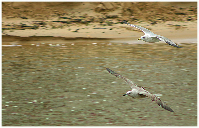 Flying