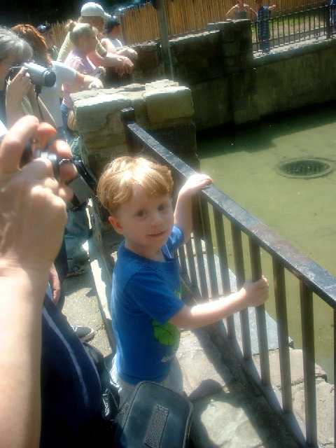 Andrew at the Zoo