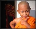 A Novice Monk: Simple Life or Simply a Kid?