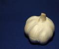 Simply Garlic