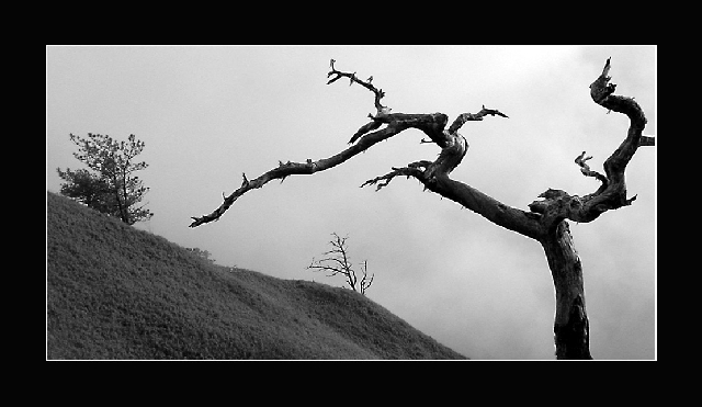 Solitude