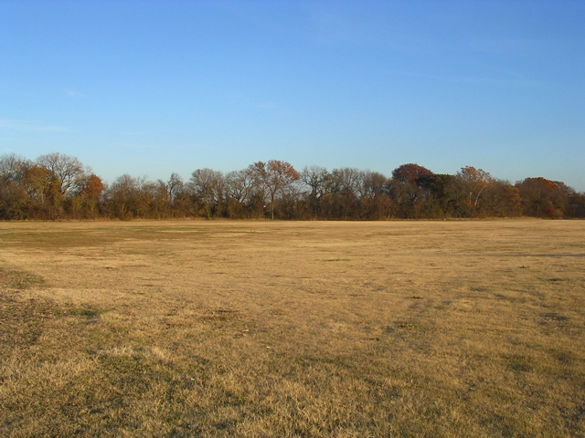 Uncultivated