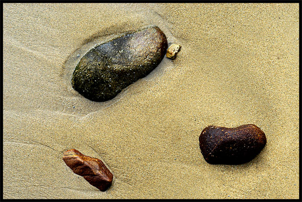 Beach Scene