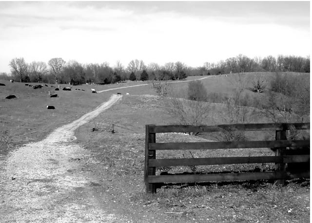 The Simple Path the Farmer Takes to the Field