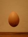 A few before an egg become omelette