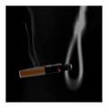 This year I'll quit smoking or die!