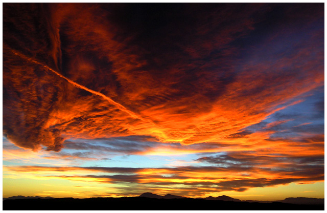 I Resolve to take more "Pretty" pictures and fewer "Funny" ones.